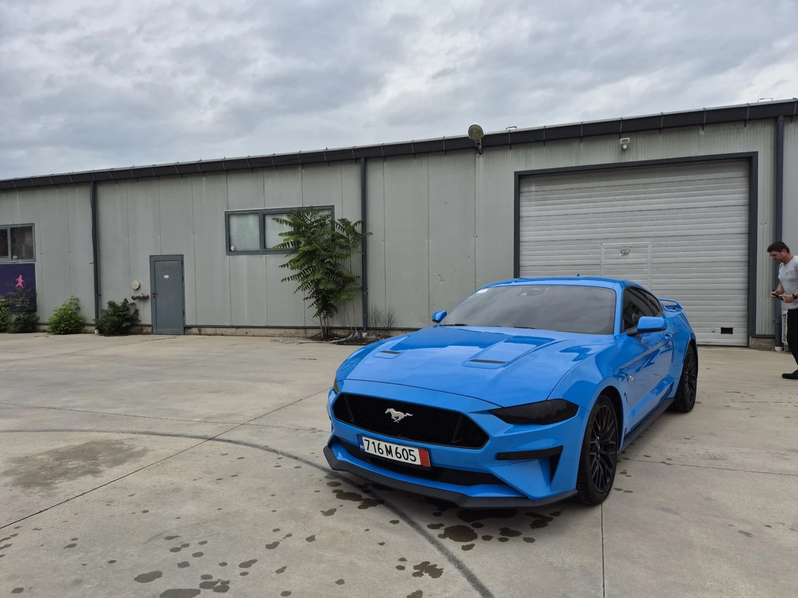 Ford Mustang 5.0 GT Platinum  | Mobile.bg � ����������� 15