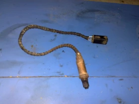 ������ ������� ������� ����...