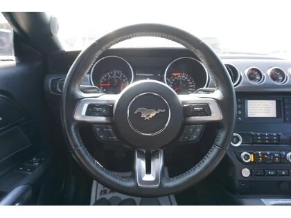 Ford Mustang FASTBACK - изображение 10