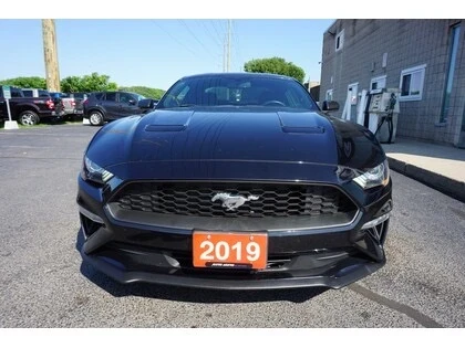 Ford Mustang FASTBACK - изображение 2
