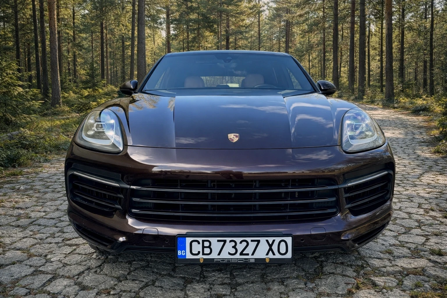 Porsche Cayenne 3.0 - изображение 2