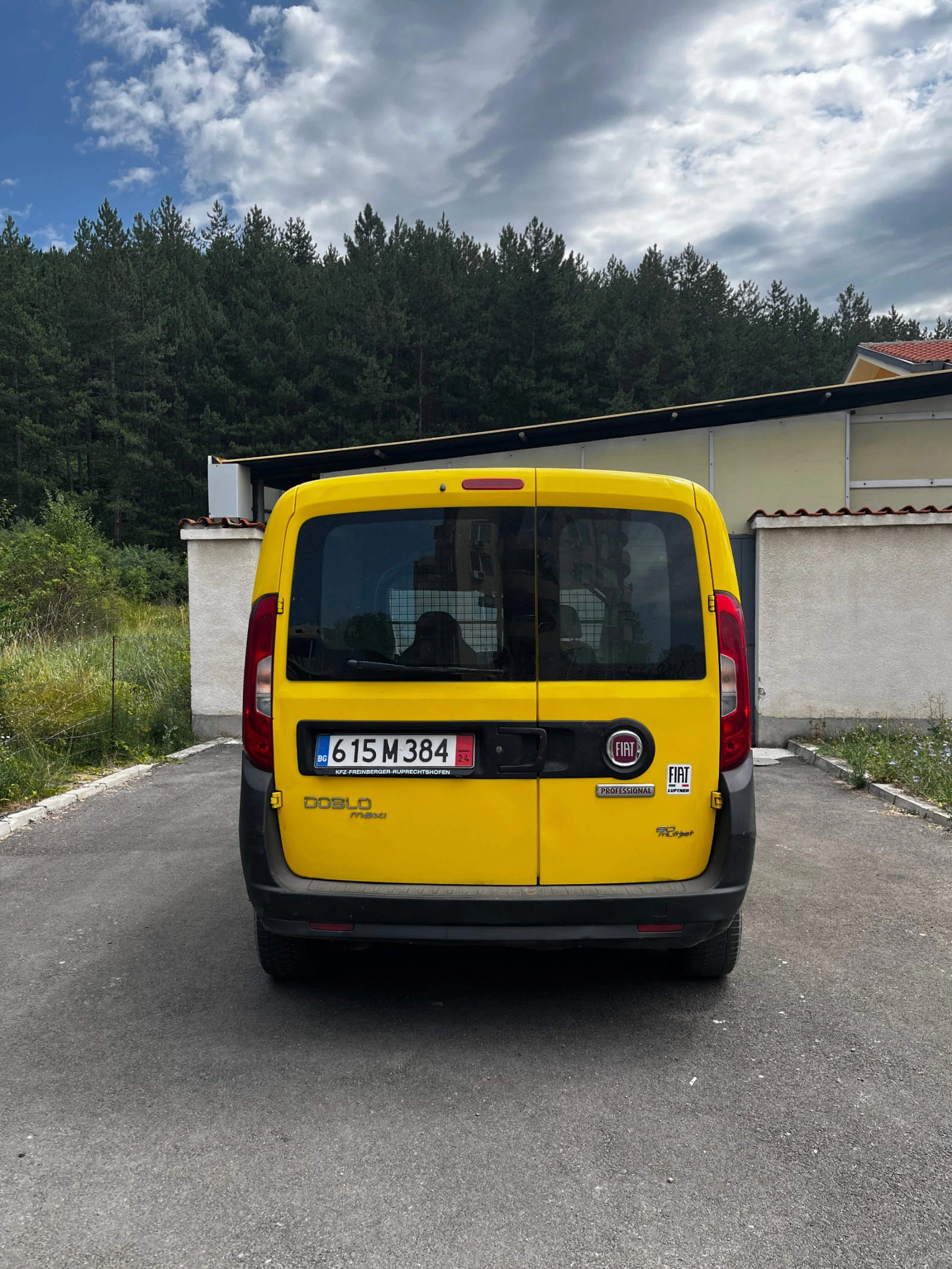 Fiat Doblo Maxi Professional MultiJet (90000 км) - изображение 3