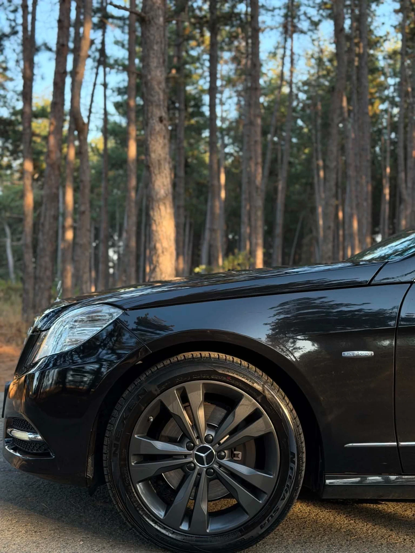 Mercedes-Benz E 350 E350 CDI 4 MATIK, AIRMATIK, снимка 12 - Автомобили и джипове - 55650011