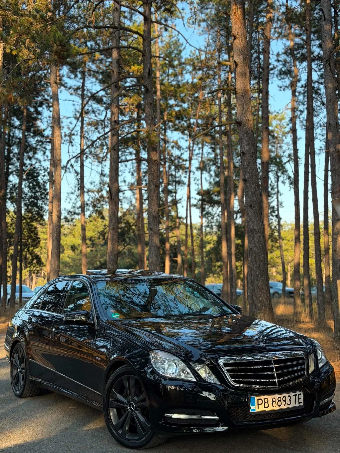 Mercedes-Benz E 350 E350 CDI 4 MATIK, AIRMATIK, снимка 3 - Автомобили и джипове - 55650011