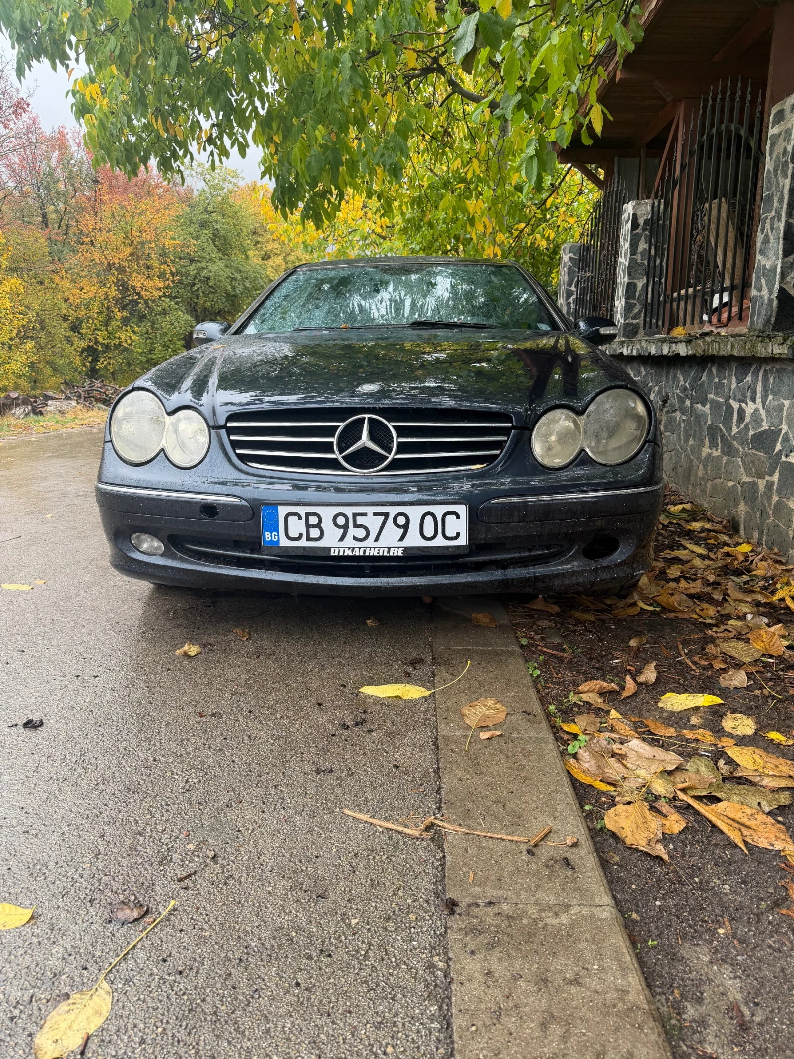 Mercedes-Benz CLK | Mobile.bg � ����������� 1