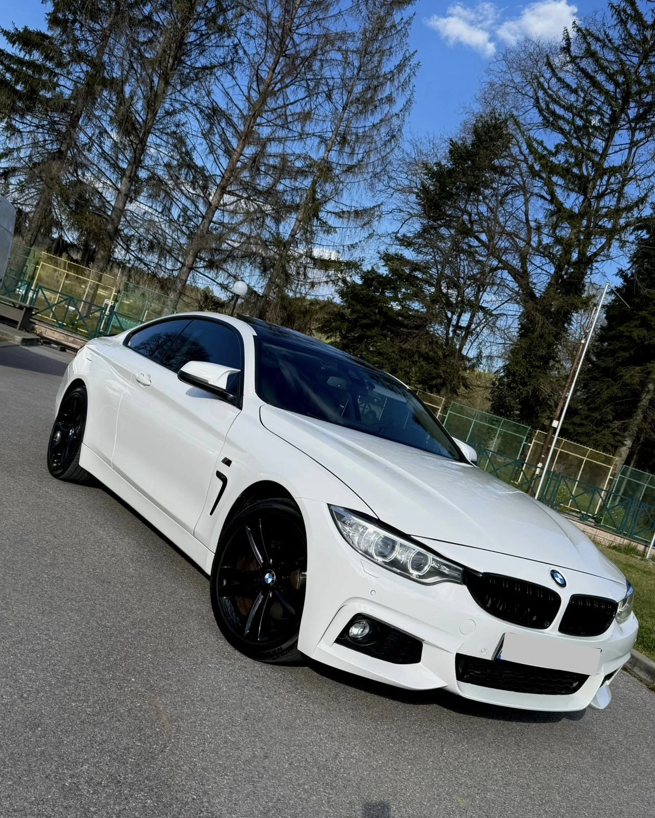 BMW 420 F32, снимка 3 - Автомобили и джипове - 54304578