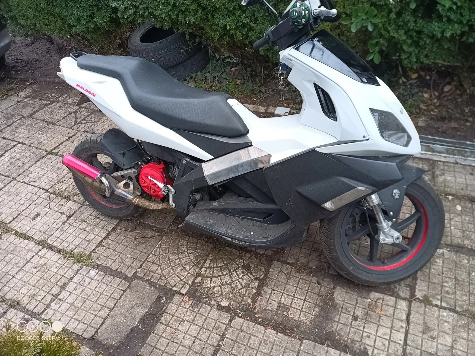 Derbi Gp-1 50cc  - изображение 2