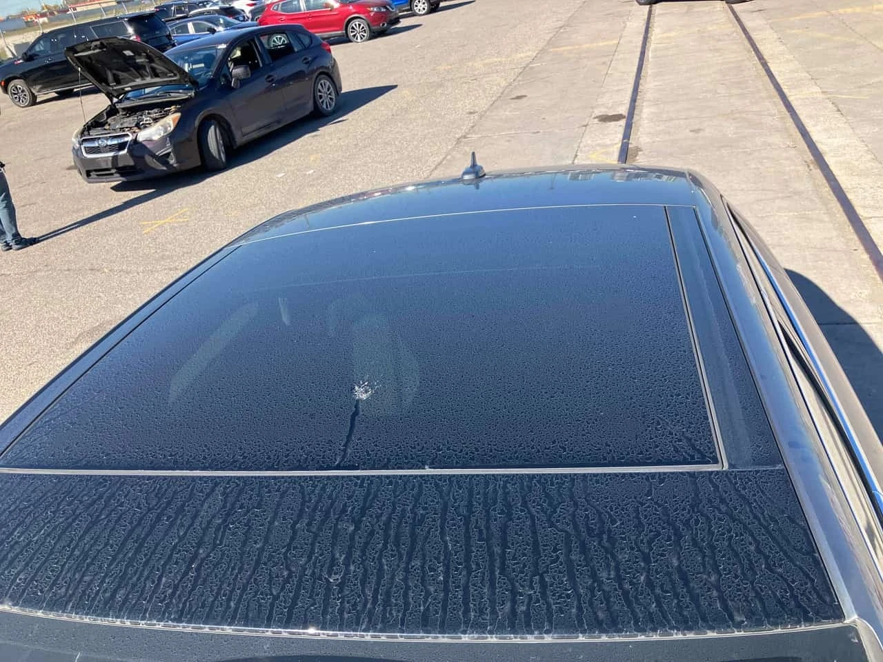 Audi A3 4dr Sdn quattro 2.0T Progressiv * CARFAX *  | Mobile.bg � ����������� 12
