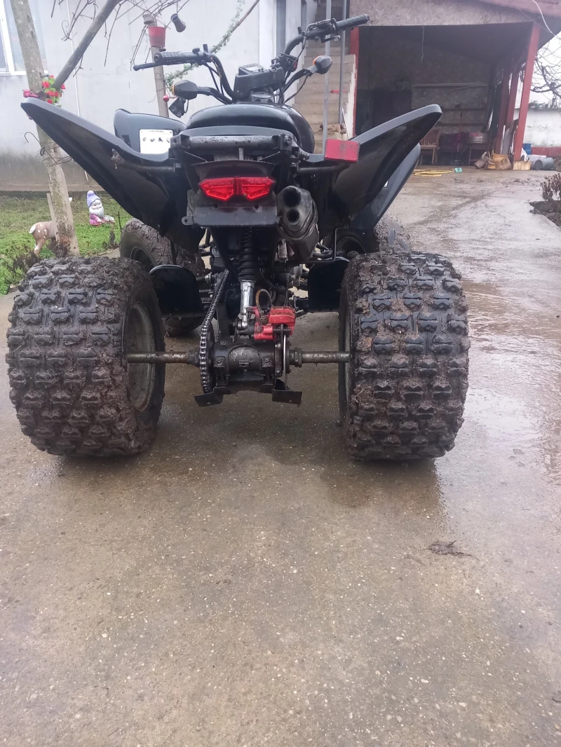 Shineray XY, снимка 5 - Мотоциклети и мототехника - 53468684