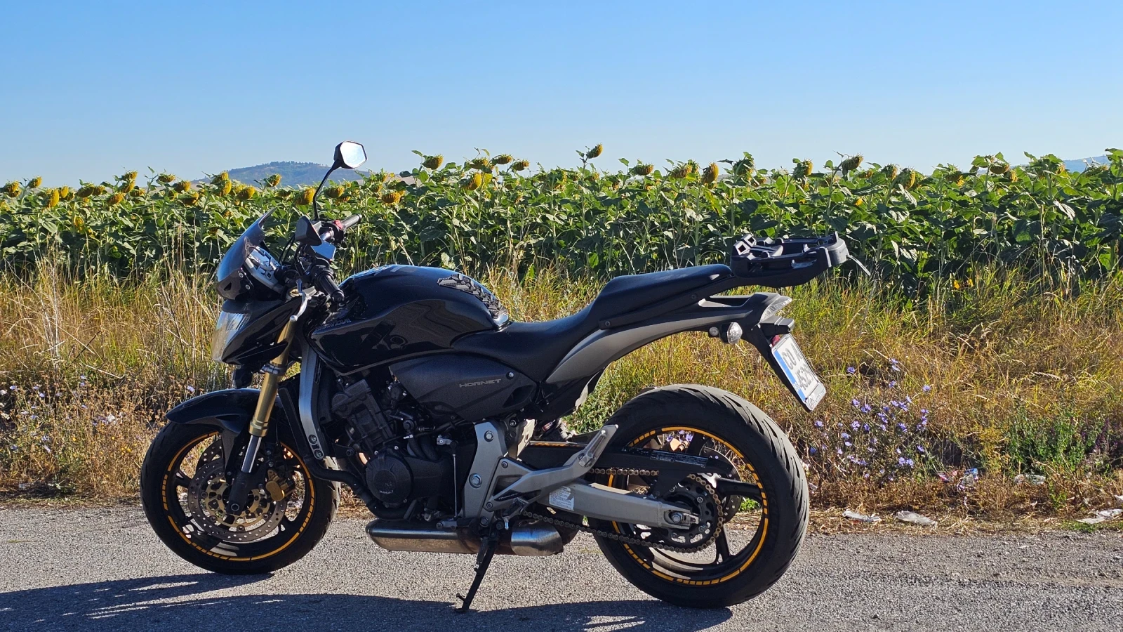 Honda Hornet  - изображение 5