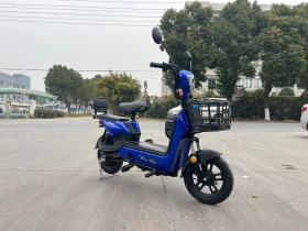 Barton Electric 750W 48V, снимка 10