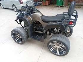 ������ Aeon Cobra