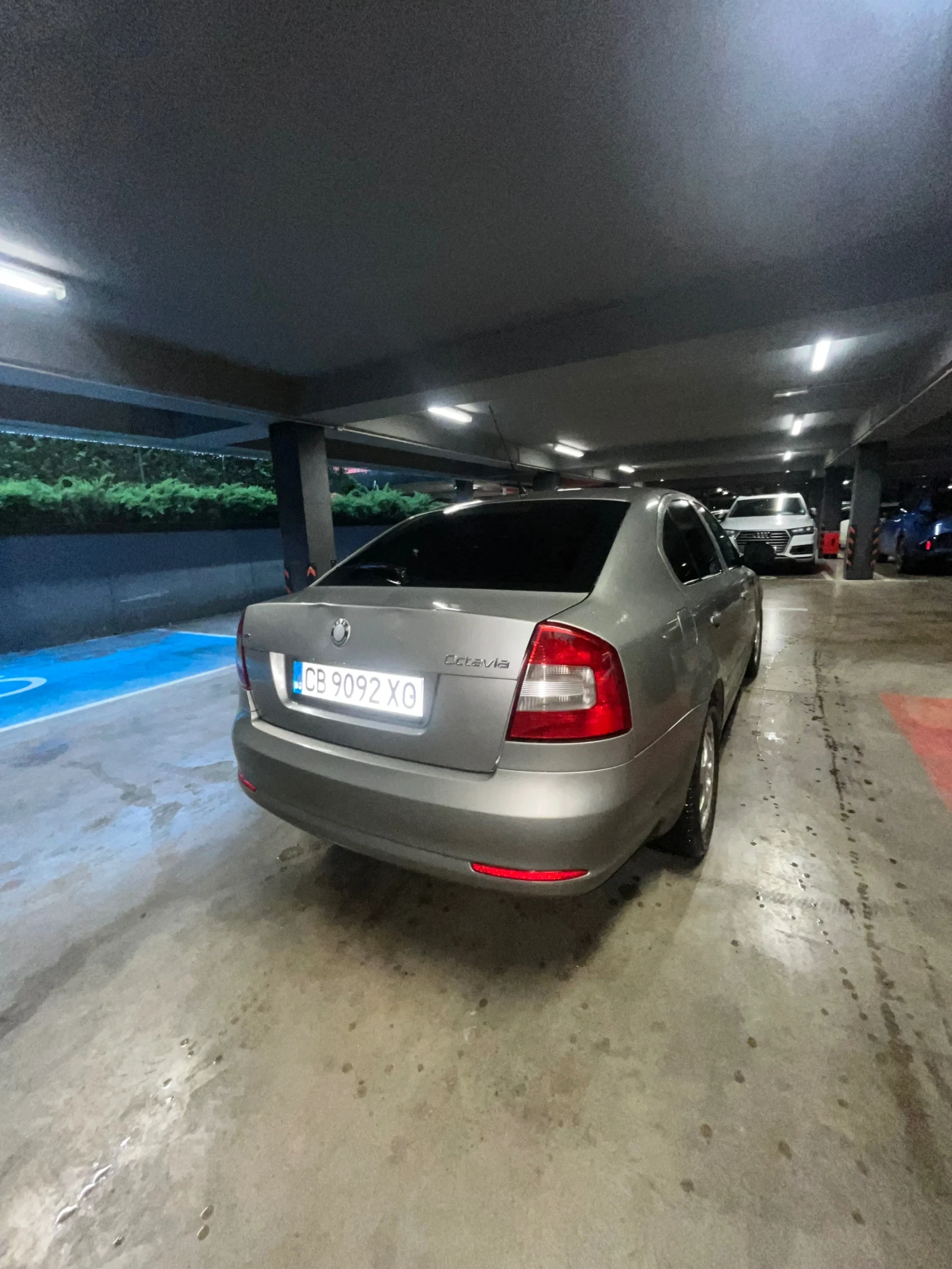 Skoda Octavia, снимка 3 - Автомобили и джипове - 54644913
