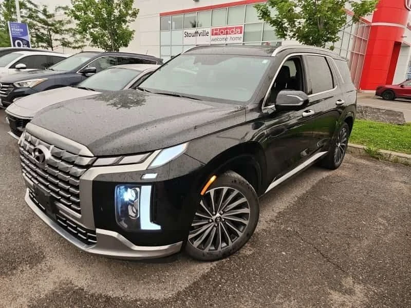 Hyundai Palisade  ULTIMATE CALLIGRAPHY 4D UTILITY 