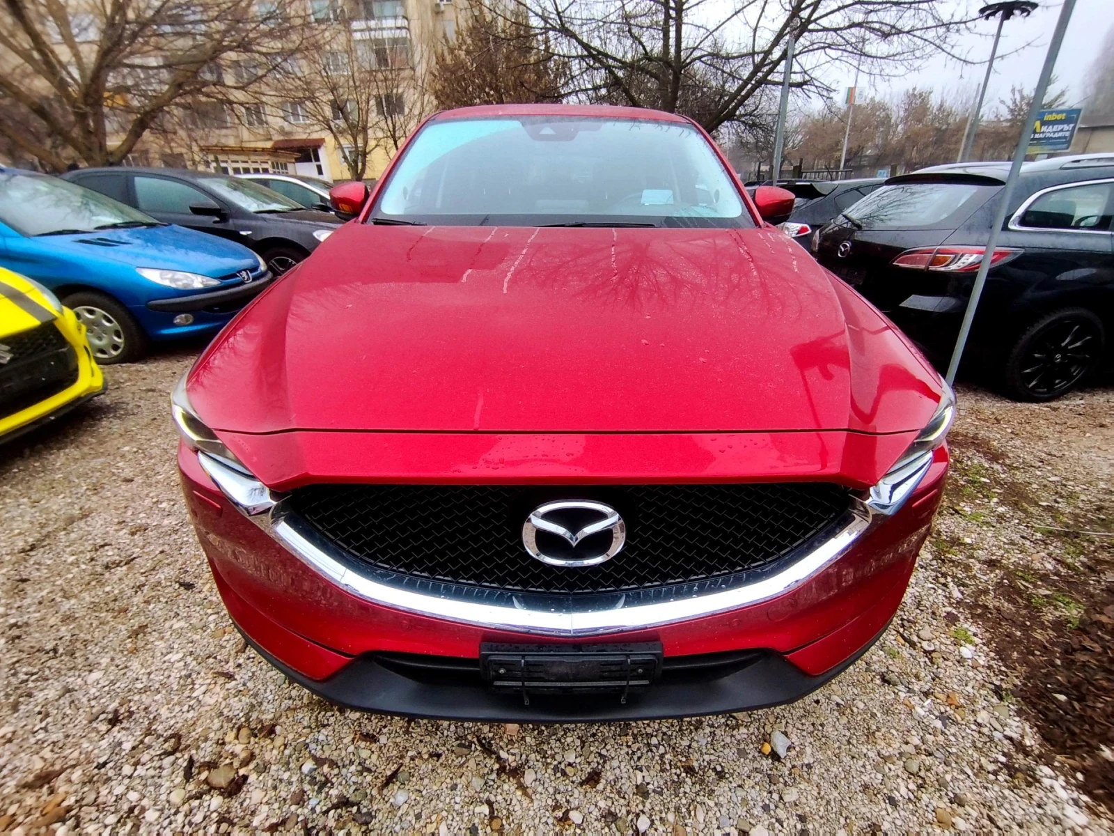 Mazda CX-5 2.2d/175hp/Awd/���������  | Mobile.bg � ����������� 9