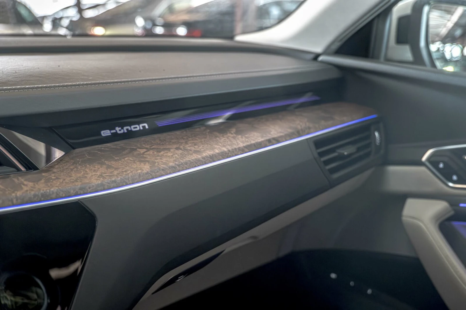 Audi E-Tron 55 95kWh/Quattro/������ 360/���������/Bang&Olufsen | Mobile.bg � ����������� 13