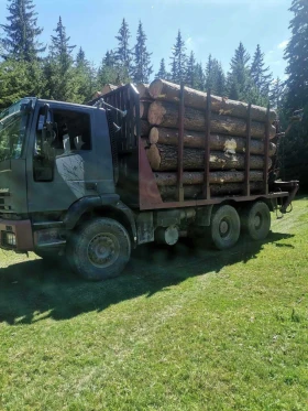 Iveco 34038 64  Penz Z | Mobile.bg    13