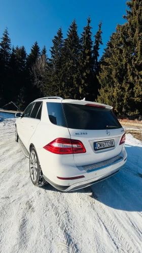 Mercedes-Benz ML 250 ML250 | Mobile.bg � ����� ������ 6