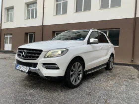 Mercedes-Benz ML 250 ML250 - изображение 1