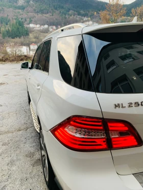 Mercedes-Benz ML 250 ML250, снимка 5