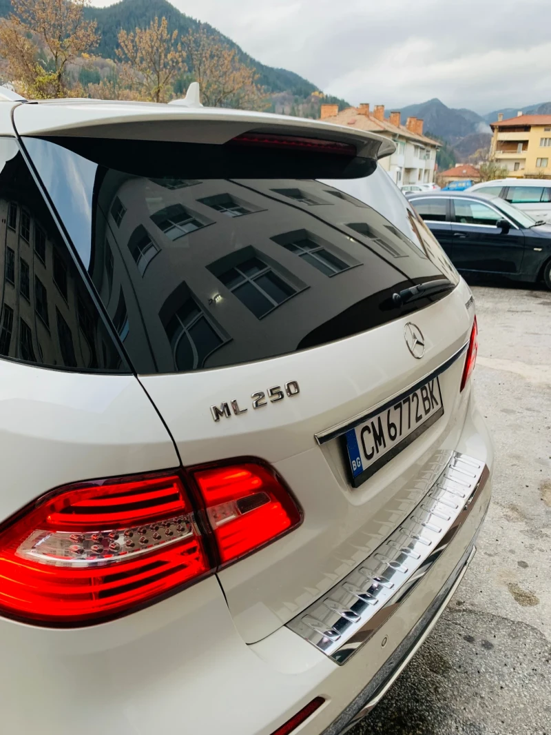 Mercedes-Benz ML 250 ML250, снимка 6 - Автомобили и джипове - 52618519