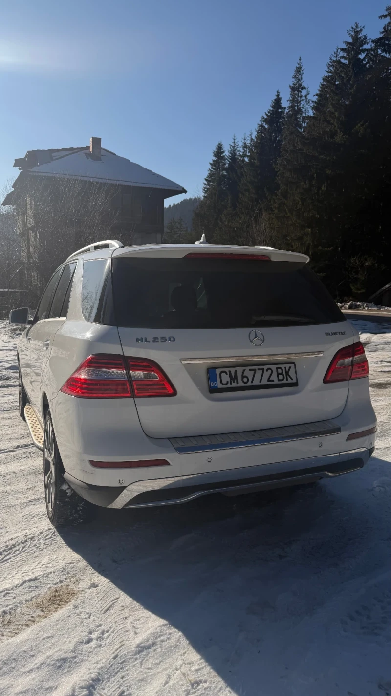 Mercedes-Benz ML 250 ML250, снимка 5 - Автомобили и джипове - 53046196