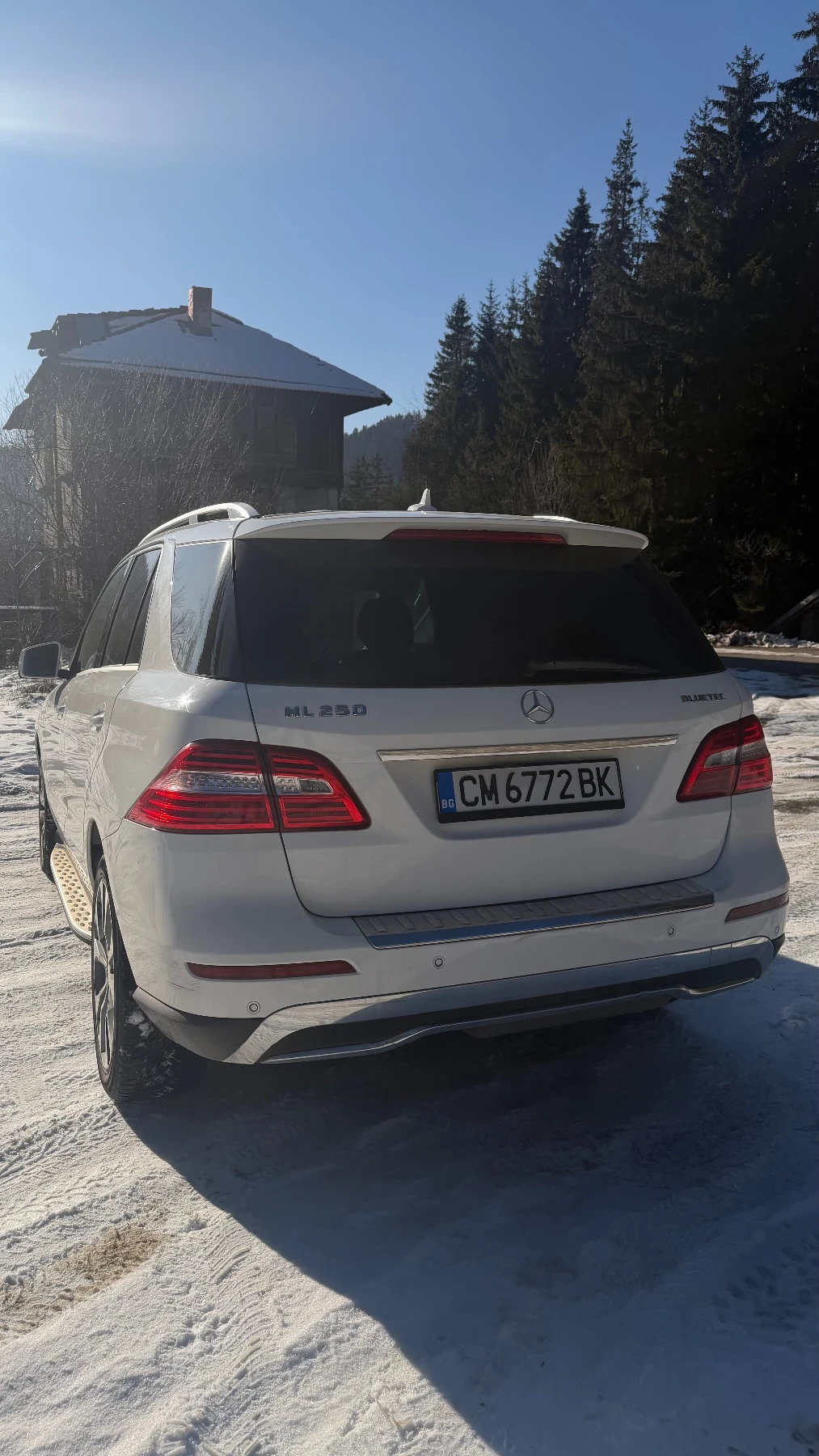 Mercedes-Benz ML 250 ML250 - изображение 5