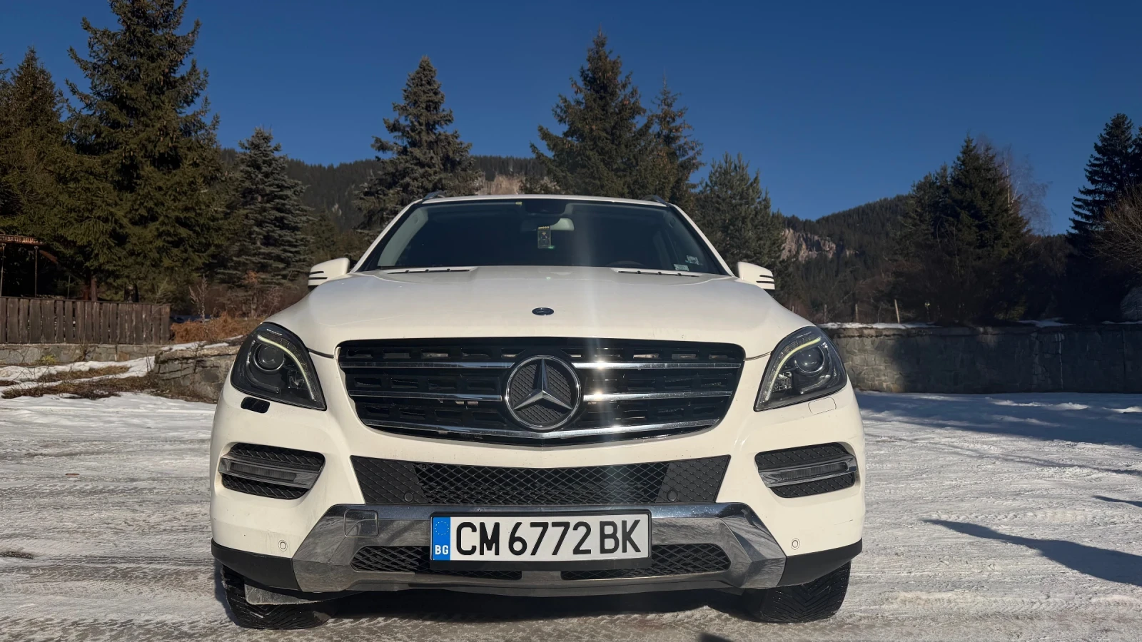 Mercedes-Benz ML 250 ML250 - изображение 4