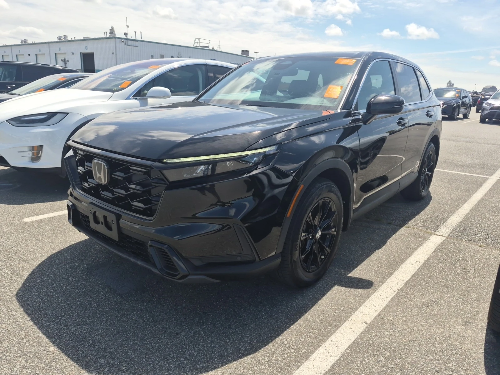 Honda Cr-v EX-L