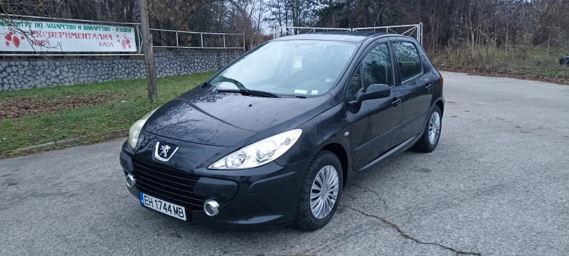 Peugeot 307 1.4  газ бензин, снимка 2 - Автомобили и джипове - 48347336