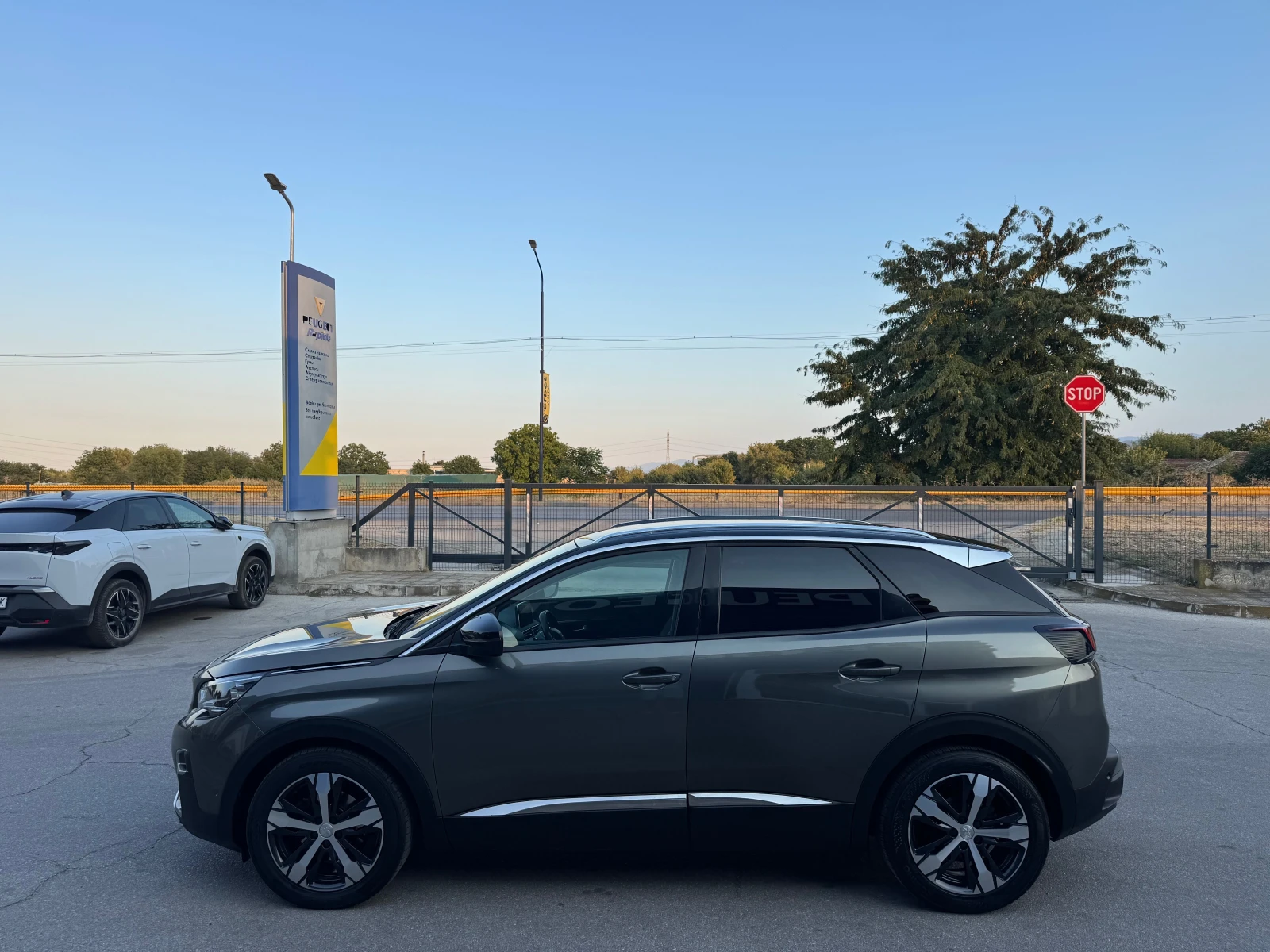 Peugeot 3008 1.6 HDI 120kc Allure, снимка 2 - Автомобили и джипове - 56023270