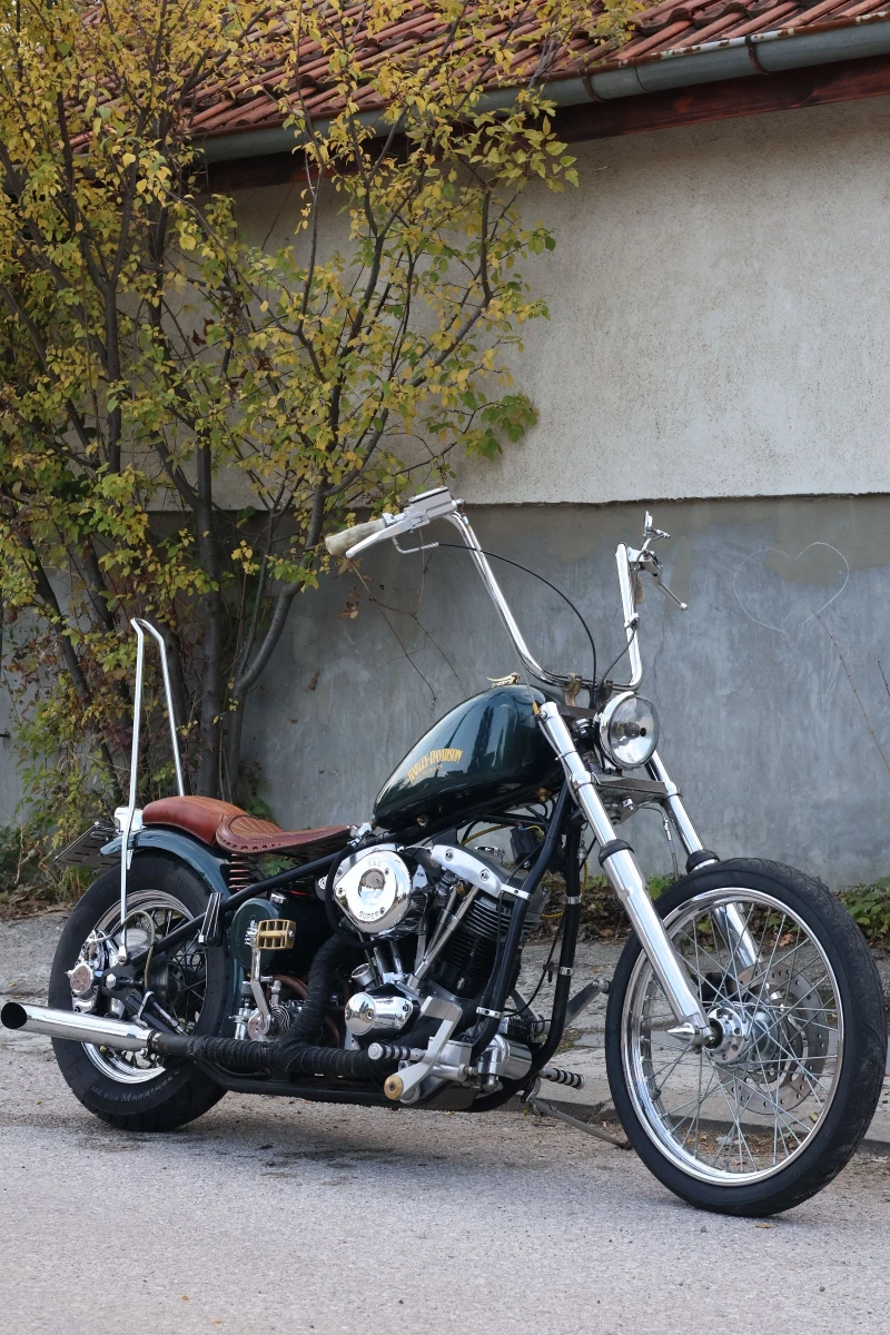 Harley-Davidson Custom Shovelhead FLH