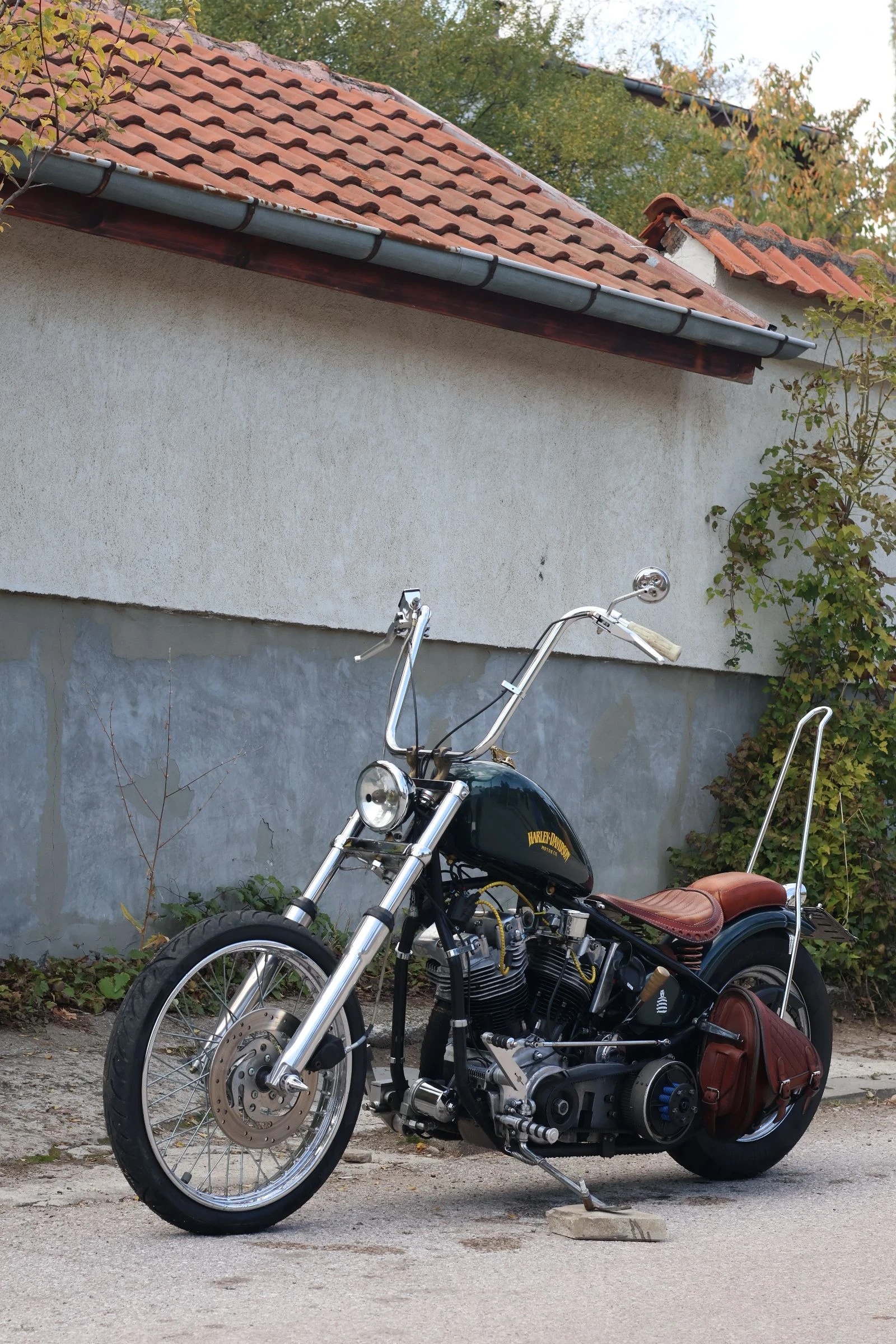 Harley-Davidson Custom Shovelhead FLH - изображение 2