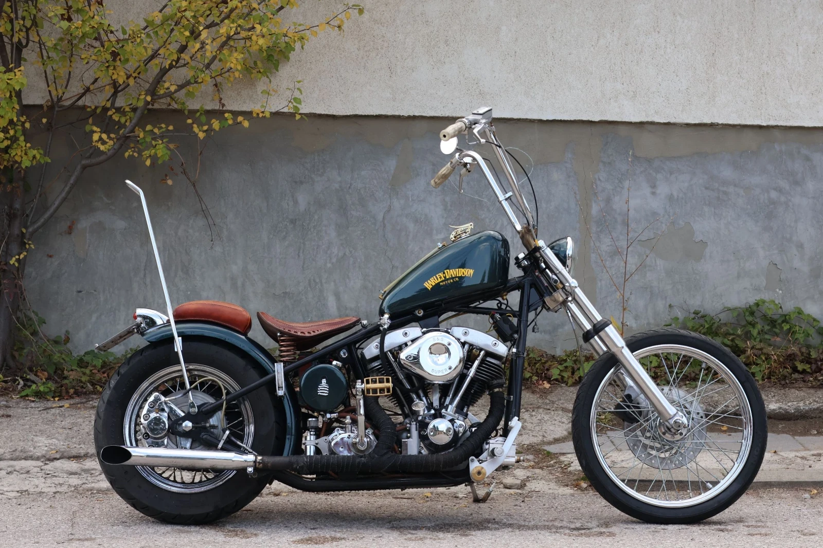 Harley-Davidson Custom Shovelhead FLH - изображение 3