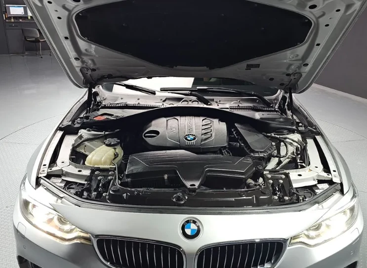 BMW 420 420d Luxury - изображение 6