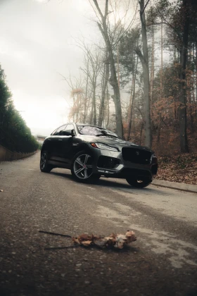 Jaguar F-PACE Jaguar F-Pace S 82300KM/ACC/Alcantara/ponorama/Ful, снимка 5