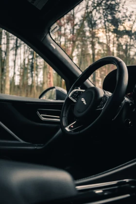 Jaguar F-PACE Jaguar F-Pace S 82300KM/ACC/Alcantara/ponorama/Ful, снимка 8