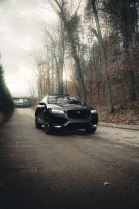 Jaguar F-PACE Jaguar F-Pace S 82300KM/ACC/Alcantara/ponorama/Ful - изображение 1