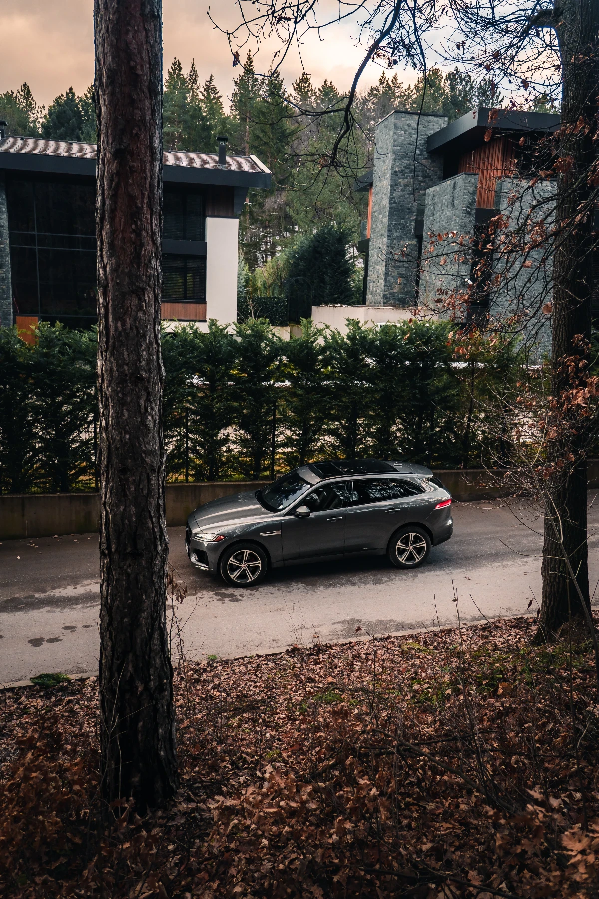 Jaguar F-PACE Jaguar F-Pace S 82300KM/ACC/Alcantara/ponorama/Ful - изображение 2