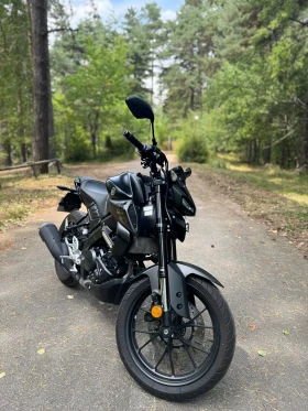 Yamaha Mt-01, снимка 1