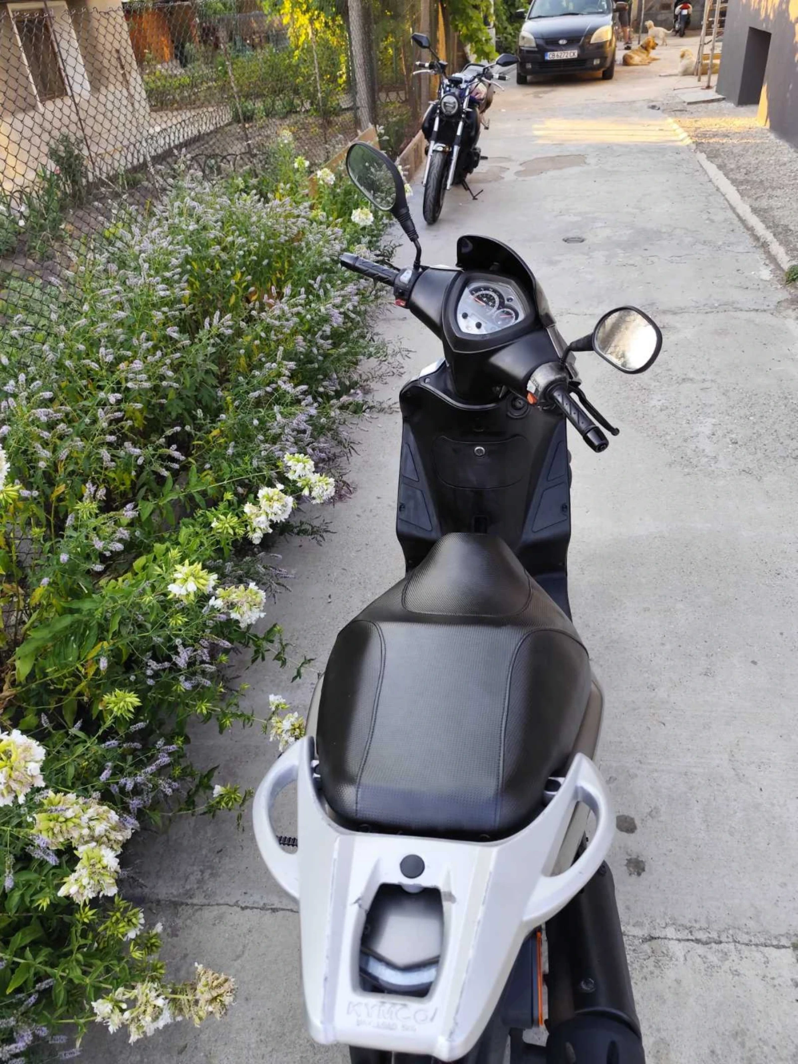 Kymco Agility 125 A1 | Mobile.bg � ����������� 12