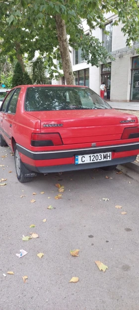  Peugeot 405