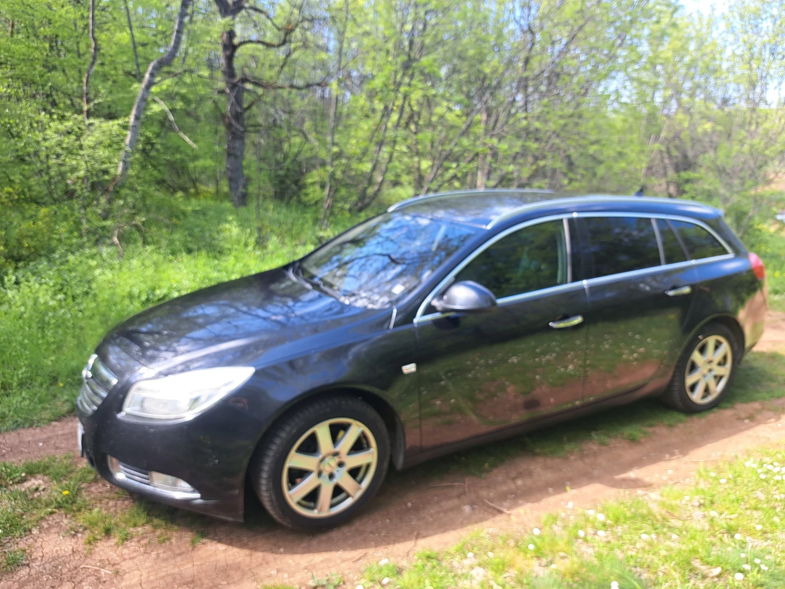 Opel Insignia, снимка 2 - Автомобили и джипове - 54442227