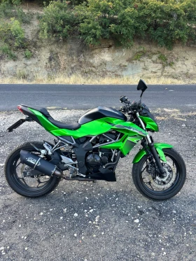  Kawasaki 250