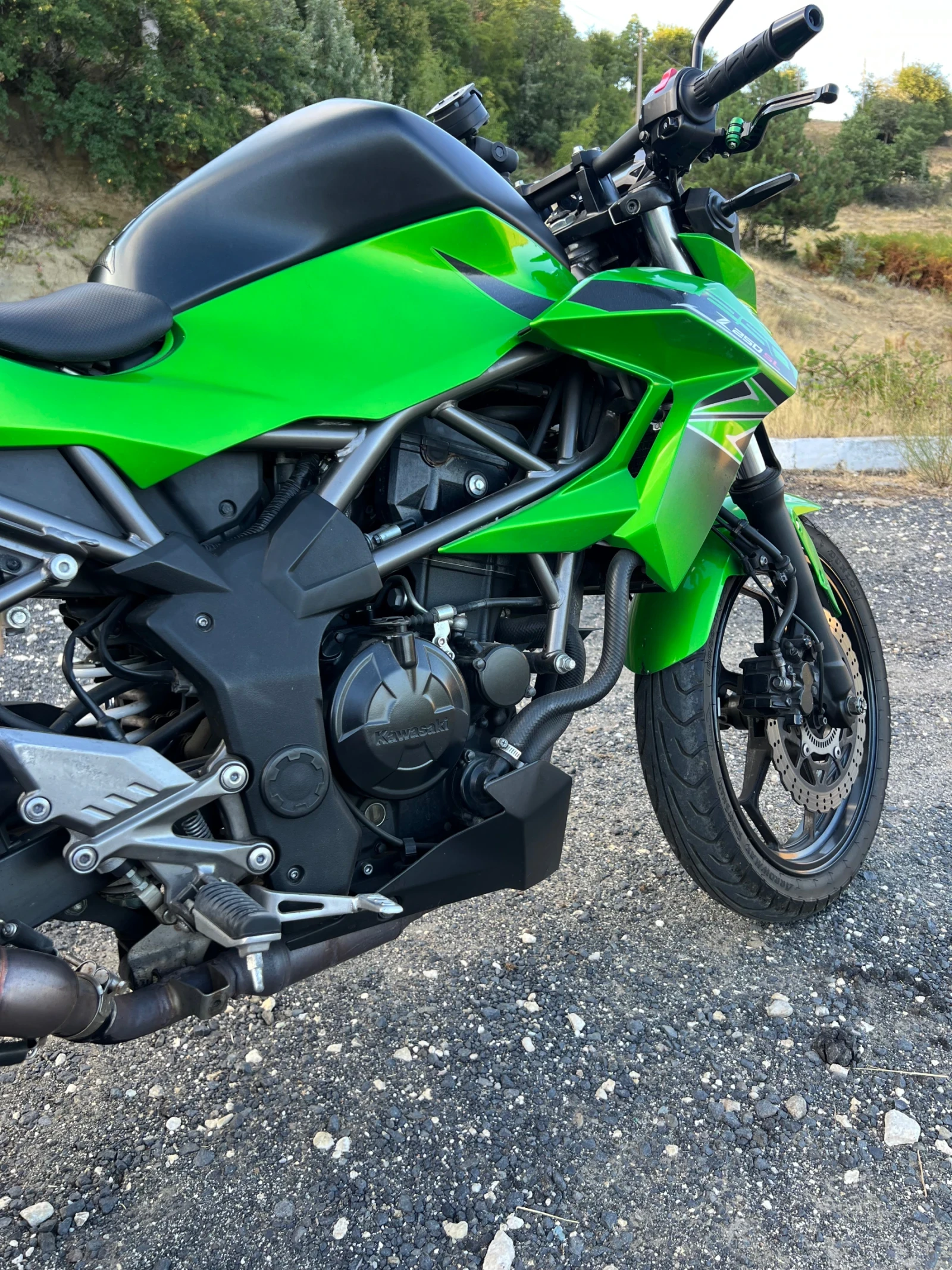 Kawasaki 250  - изображение 8