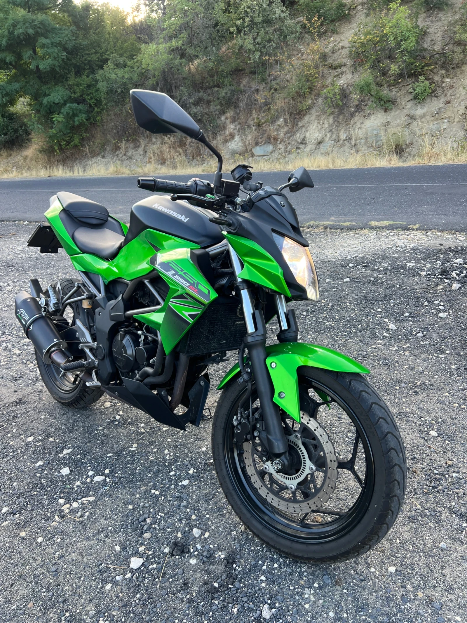 Kawasaki 250  - изображение 2
