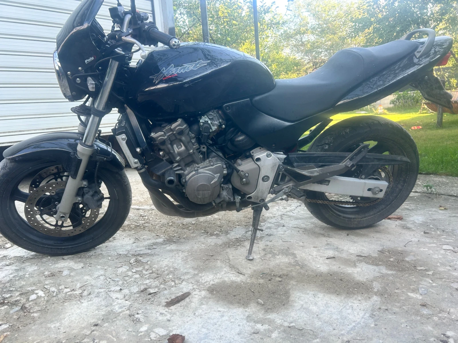 Honda Hornet