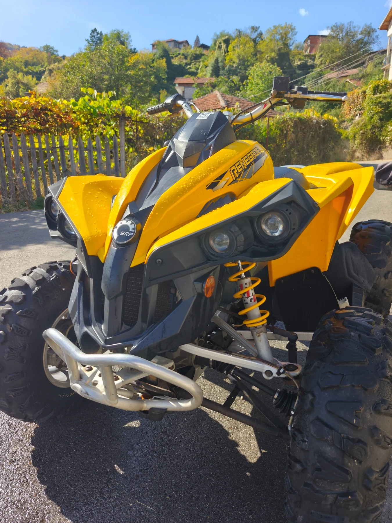 Can-Am Renеgade