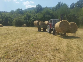  Zetor 8045 | Mobile.bg    3
