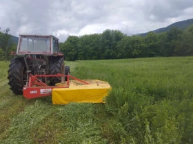  Zetor 8045 | Mobile.bg    2